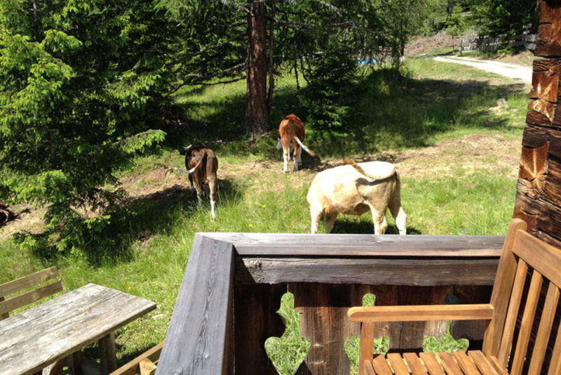 Bildergalerie mit Fotos der Hütte Innen- und Außenansichten